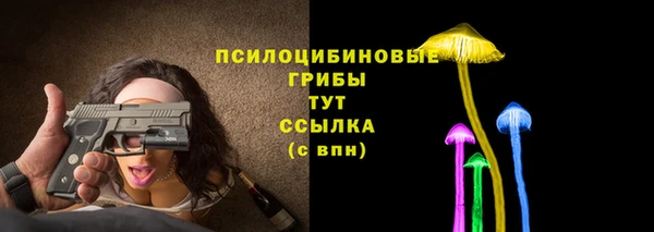герыч Переславль-Залесский